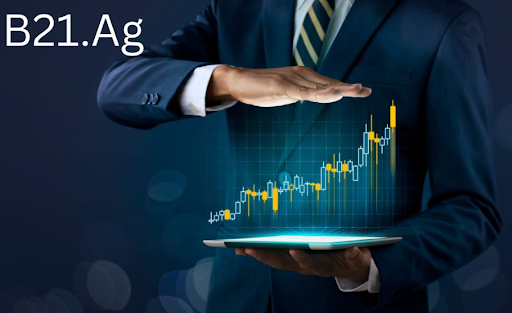 b21.ag