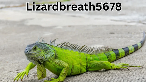 lizardbreath5678