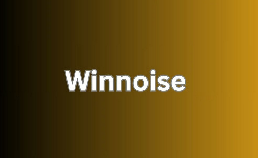 winnoise